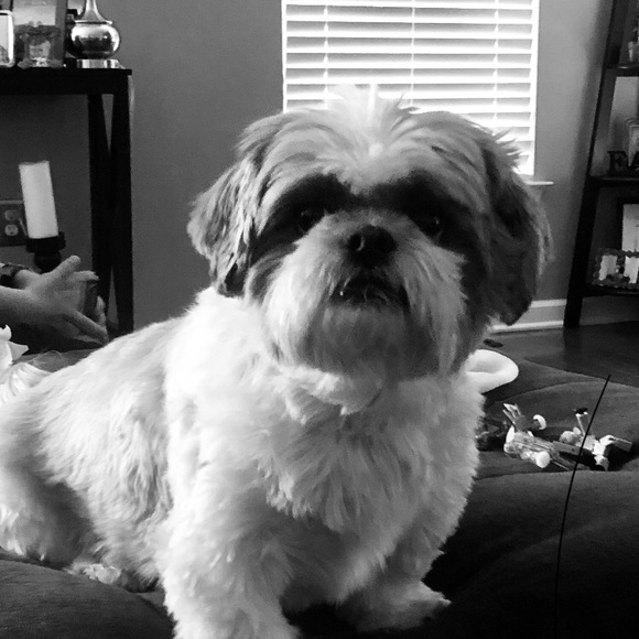 Meet your Posher, Randy - Picture 1 of 1